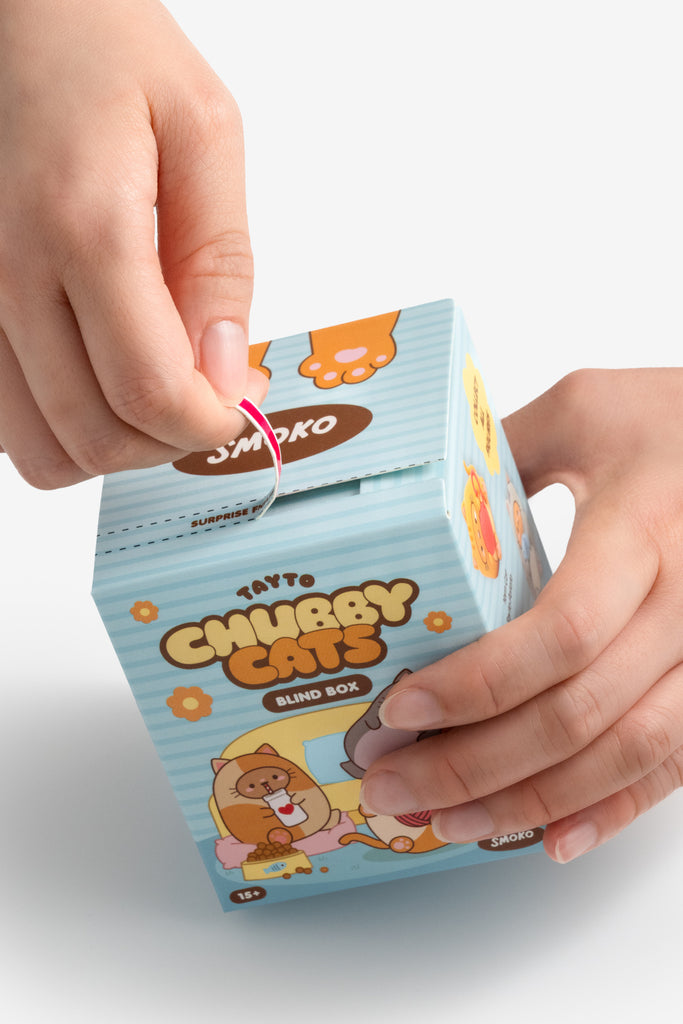 Tayto Chubby Cats Blind Box Figure