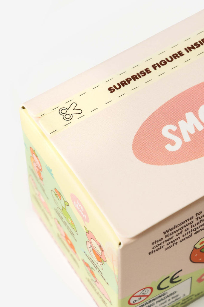 Smoko Kawawa Turtles Glow in the Dark Blind Box Figure